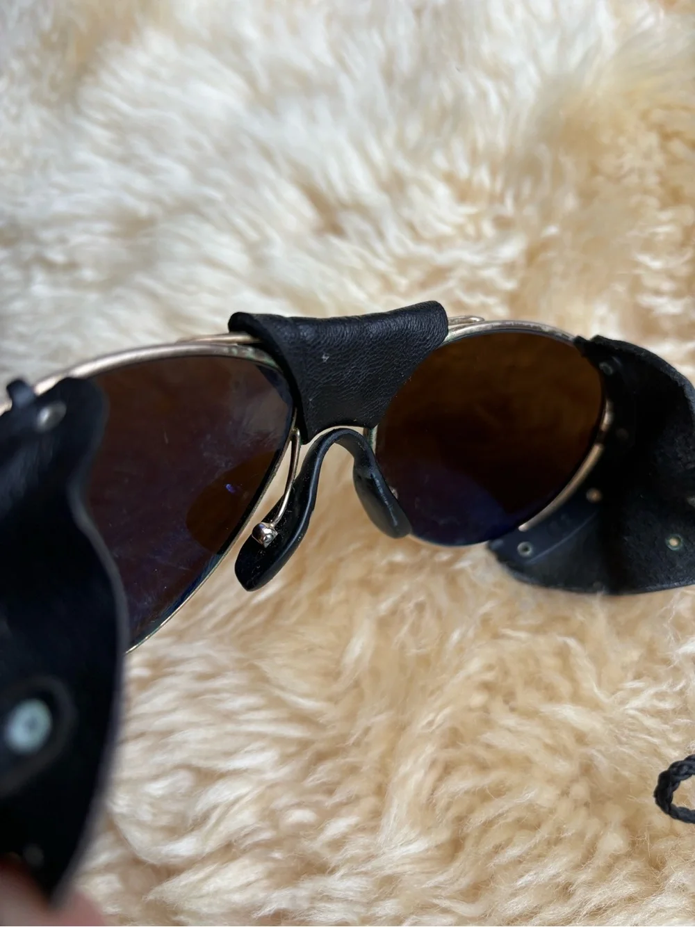 Vintage Julbo Mountaineering/Glacier Glasses